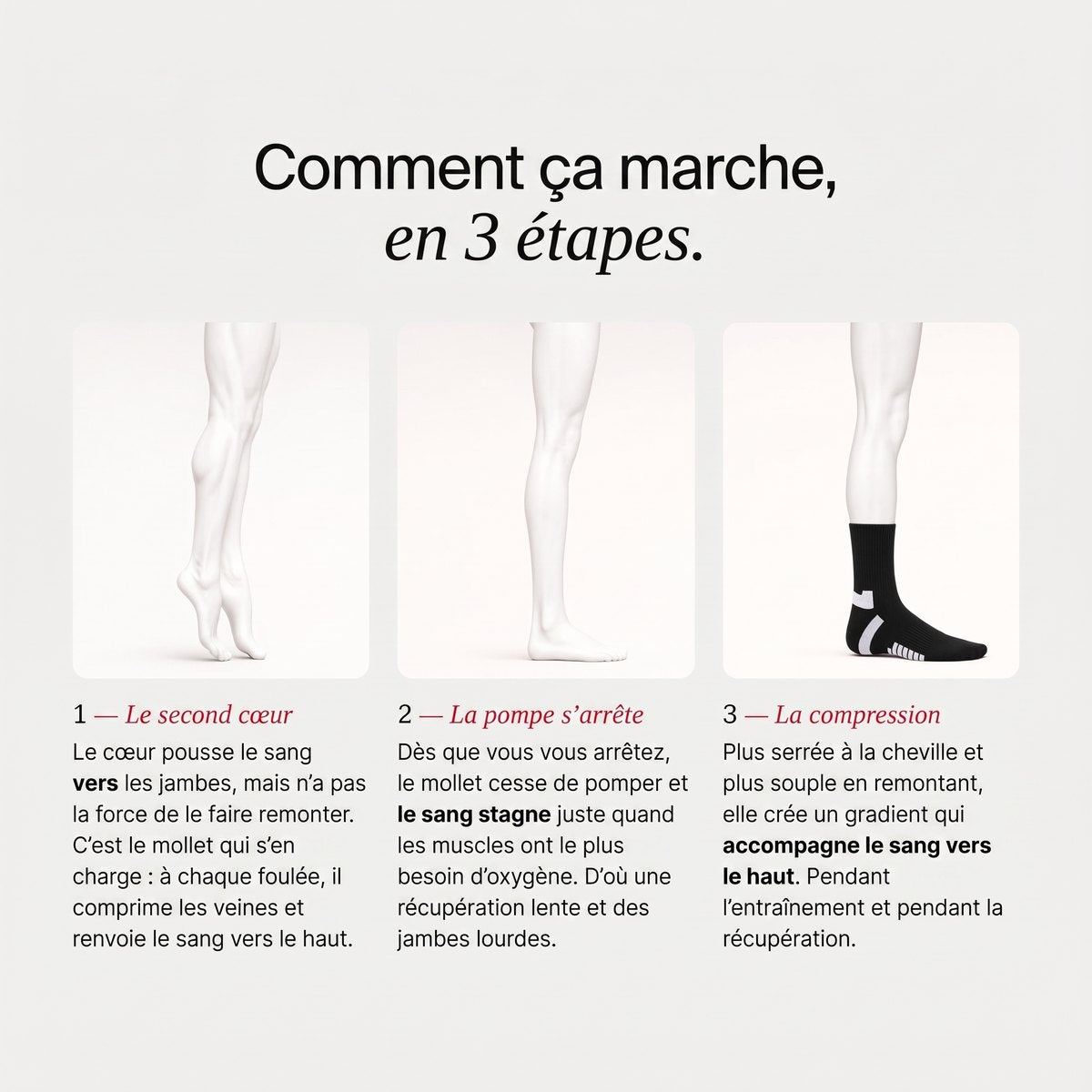 Chaussettes de compression SanovaPro