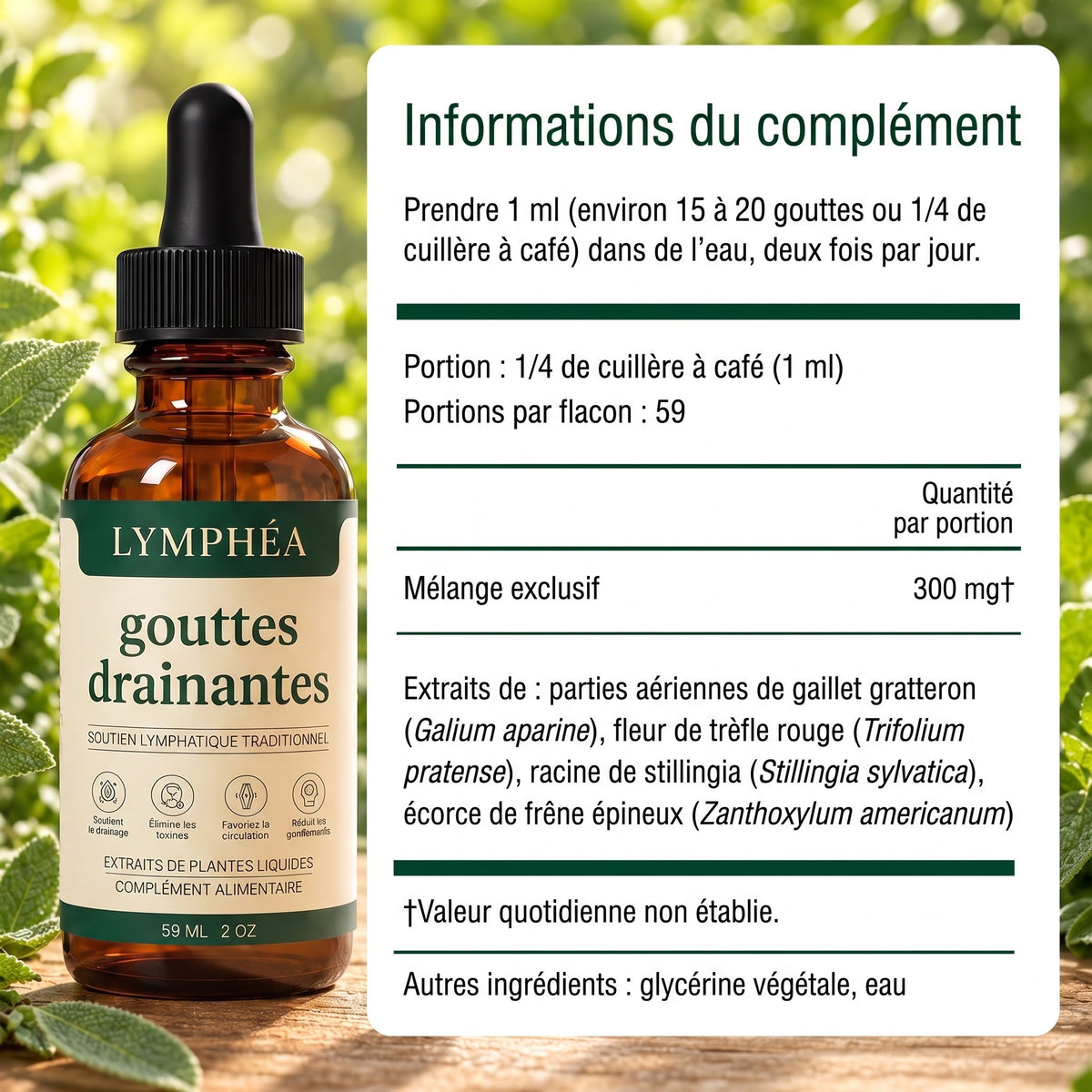Lymphéa