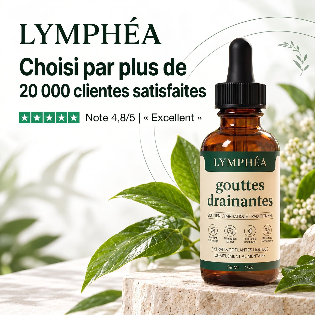 Lymphéa